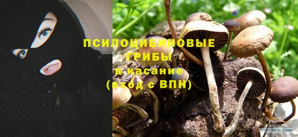 ешки Армянск