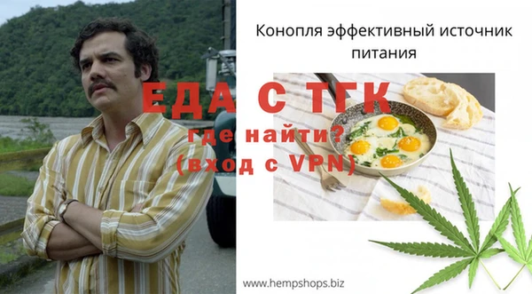 индика Балахна