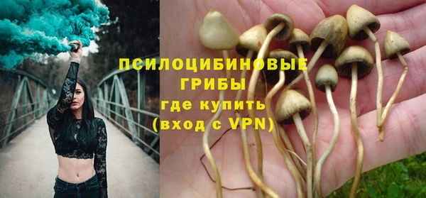 индика Балахна