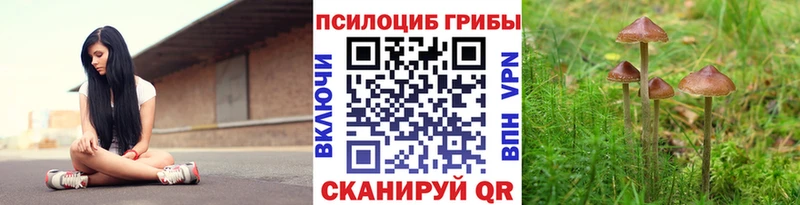 Галлюциногенные грибы ЛСД  мега ССЫЛКА  Мамоново 