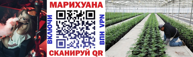 Каннабис конопля Мамоново